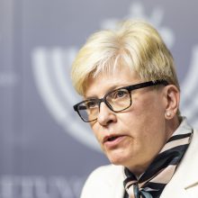 I. Šimonytė sieja mokytojų streiką su būsimais rinkimais