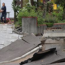 Žemės drebėjimo Japonijoje aukų padaugėjo iki 18