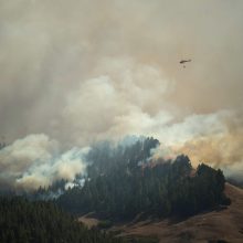 Dėl didžiulio gaisro Kanarų salose evakuota 8 tūkst. žmonių