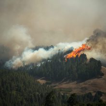 Dėl didžiulio gaisro Kanarų salose evakuota 8 tūkst. žmonių