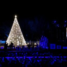 D. Trumpas su žmona įžiebė pagrindinę JAV Kalėdų eglę