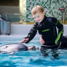 Prasidės registracija į delfinų asistuojamą terapiją