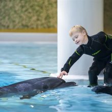 Prasidės registracija į delfinų asistuojamą terapiją