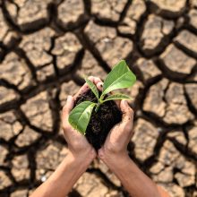 Klimato atšilimą reikia skatinti?