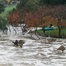 Ekstremali situacija Kretingoje: net aplinkosaugininkai stveriasi už galvų