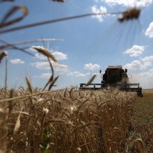 Vakarai smerkia Maskvos pareiškimą apie faktinę susitarimo dėl ukrainietiškų grūdų pabaigą