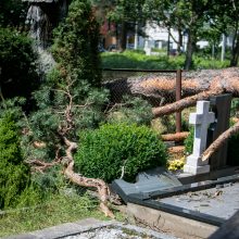 Iki tragedijos – vienas žingsnis: prie kapinių vėjo neatlaikė pušis