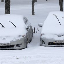 Neužsiveda automobilis: gaiviname akumuliatorių ir variklį