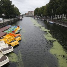 Pavasarį Danės upe pradės kursuoti vandens autobusas