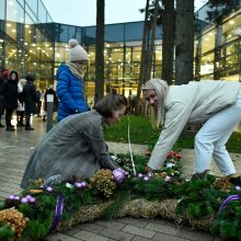 Kretingiškių pinti kalėdiniai vainikai pateko į Lietuvos rekordų knygą