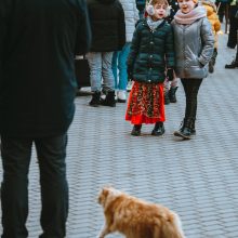 Aktyviausias švenčių dalyvis – katinas