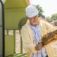 Verslo miestelio „Urban HUB“ statybų pradžią paskelbė įkurdinta bičių bendruomenė