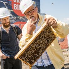 Verslo miestelio „Urban HUB“ statybų pradžią paskelbė įkurdinta bičių bendruomenė