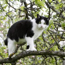 Ugniagesių kasdienybė – nuo juoko iki ašarų