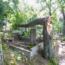 Audros padariniai Eigulių kapinėse: vaizdas – kaip po karo