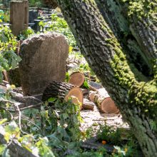 Audros padariniai Eigulių kapinėse: vaizdas – kaip po karo