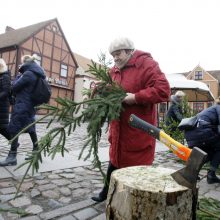 Iš pajūrio miškininkų rankų – kalėdinės puošmenos