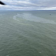 Į Baltijos jūrą išsiliejus 300 litrų naftos, aplinkosaugininkai praneša: teršalai pasieks Latviją