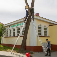 Nauji Kauno akcentai – inkilai giesmininkams