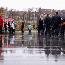 Per A. Paleckio palaikymo mitingą Vilniuje sulaikytas vyras