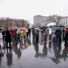 Per A. Paleckio palaikymo mitingą Vilniuje sulaikytas vyras