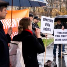 Per A. Paleckio palaikymo mitingą Vilniuje sulaikytas vyras