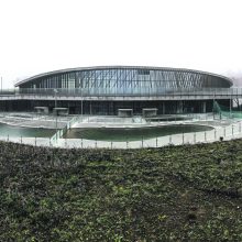 Nukentėjusiems jūrų gyvūnams – pažangiausia pagalba