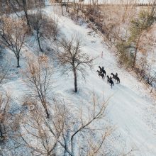 Migrantai iš Baltarusijos 345 kartus skambino humanitarinės pagalbos darbuotojams Lenkijoje