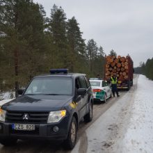 Medieną Pietų Lietuvoje nevengiama gabenti pažeidžiant taisykles 