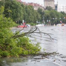 Po smarkios liūties Kaunas skaičiuoja nuostolius: virto medžiai, dingo elektra