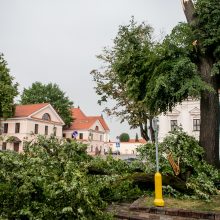 Po smarkios liūties Kaunas skaičiuoja nuostolius: virto medžiai, dingo elektra