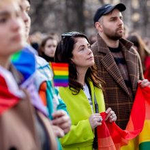 Protestuotojai ragino į Seimo sesiją įtraukti Partnerystės įstatymą: gana mus skaldyti ir skirstyti