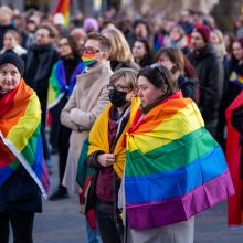 Protestuotojai ragino į Seimo sesiją įtraukti Partnerystės įstatymą: gana mus skaldyti ir skirstyti