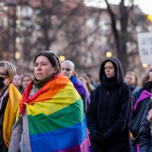 Protestuotojai ragino į Seimo sesiją įtraukti Partnerystės įstatymą: gana mus skaldyti ir skirstyti