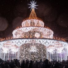 J. Statkevičius apie Vilniaus kalėdinę eglę rėžė tiesiai: pakvipo apgaule!
