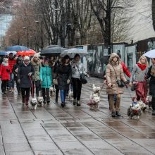 Užuosti Kalėdų oras nesutrukdė