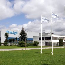 „Snaigės“ valdyba siūlo trauktis iš „Nasdaq“ biržos