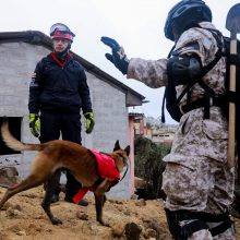 Ekvadore nuslinkus nuošliaužai žuvo mažiausiai 16 žmonių