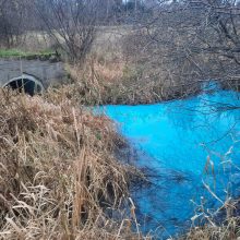 Aplinkosaugininkai aiškinasi, kodėl Kretingoje lietaus drenažo kanalas nusidažė mėlynai