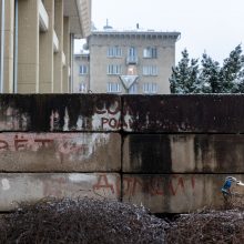 A. Širinskienei susirūpinus barikadų apsauga, Seimas primena, kad jos ten nuo 2007-ųjų 