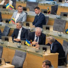 Seimas rengiasi pareikšti Lietuvos paramą Ukrainos narystei NATO