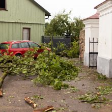 Audra smogė Žagarei: užvirtus medžiui žuvo moteris