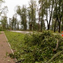 Mokslininkai ragina ruoštis: ateityje laukia daug baisesnės audros