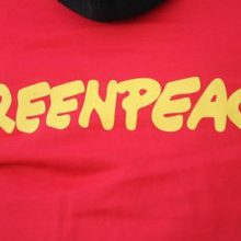 „Greenpeace“ Rusijos sprendimą ją uždrausti pavadino absurdišku