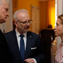 ES galvoja bendrai pirkti šaudmenų Ukrainai