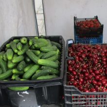Pasidžiaukite: Kauno turguje atpigo bulvės, trešnės, vyšnios, o ypač – šilauogės