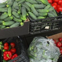 Atpigo: turguje – itin mažos agurkų, pomidorų ir šilauogių kainos