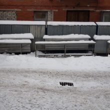 Dėl šalčių vaisių ir daržovių turgavietė ištuštėjo, tačiau du kioskai dirba 