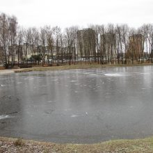 Kalniečių parko tvenkinyje apsigyvenusias gulbes išginė šaltis