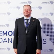 Demokratai suvažiavime keis įstatus, spręs dėl prisijungimo prie Europos žaliųjų partijos